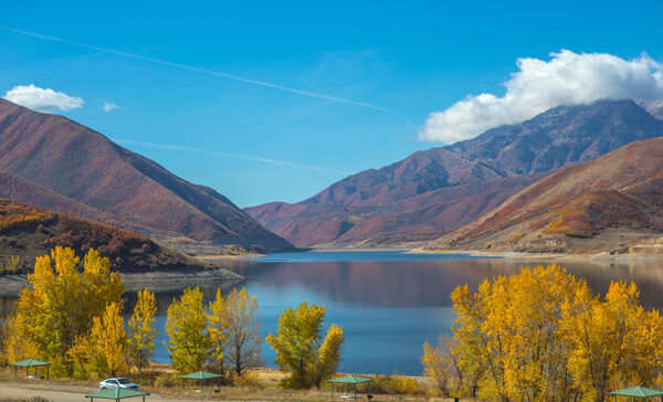 exterminator company offering services near deer creek reservoir