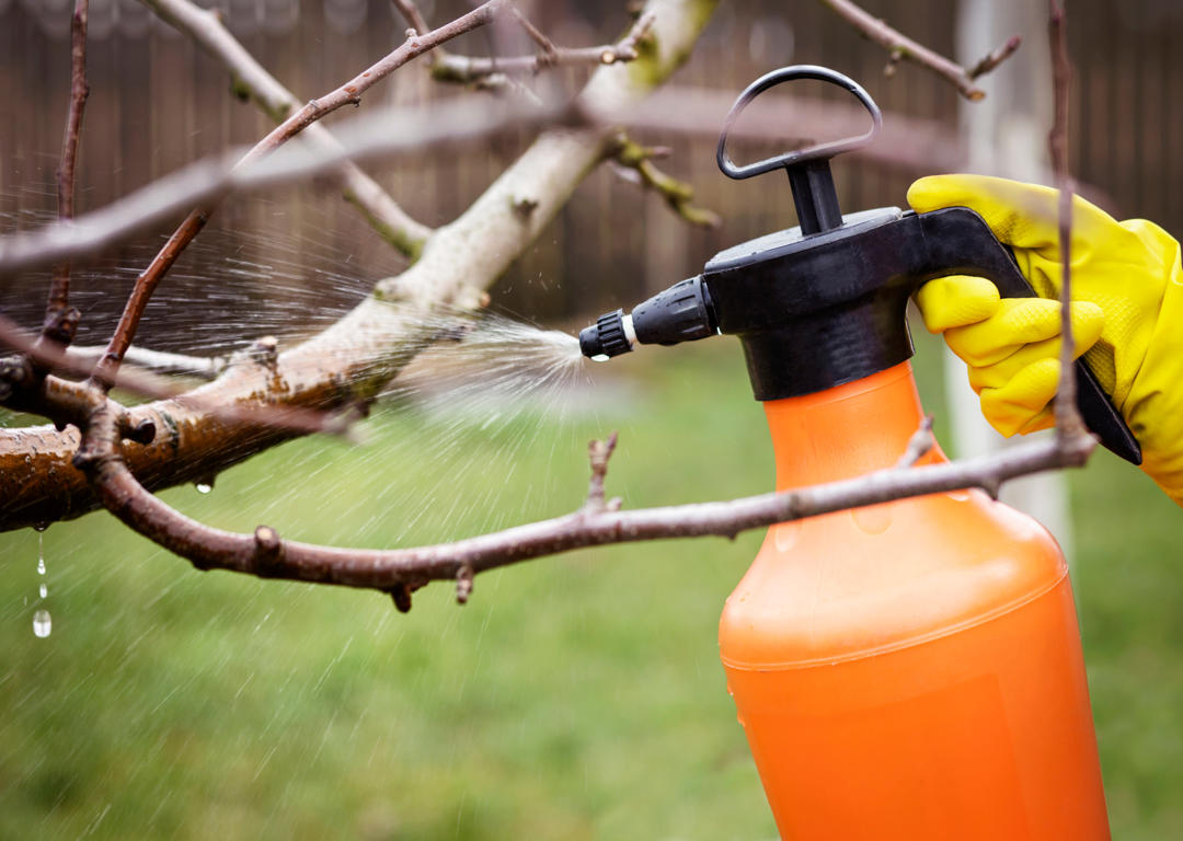 Quarterly pest maintenance visit in North Salt Lake