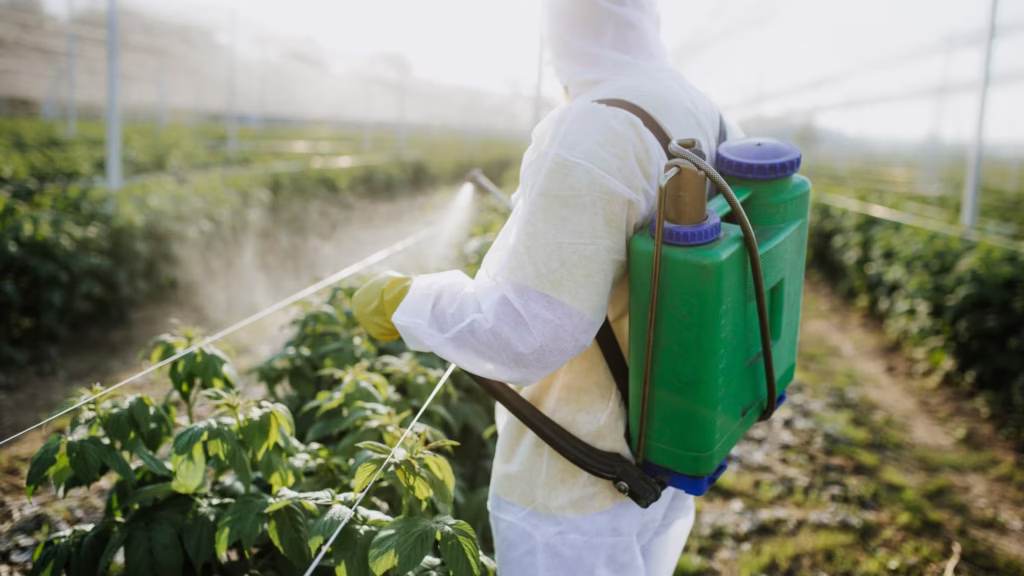 pest control utah